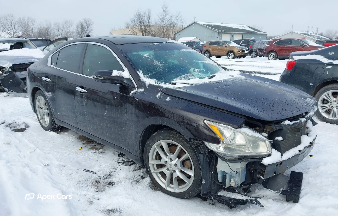 Nissan Maxima 2011