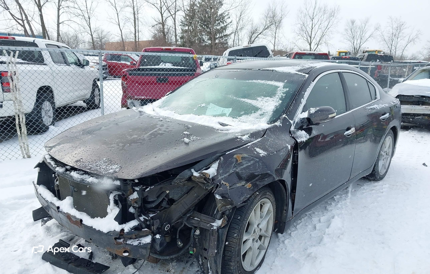 Nissan Maxima 2011