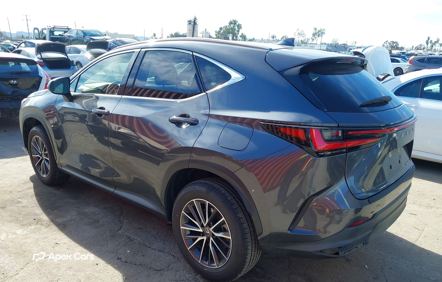 Lexus NX 2024