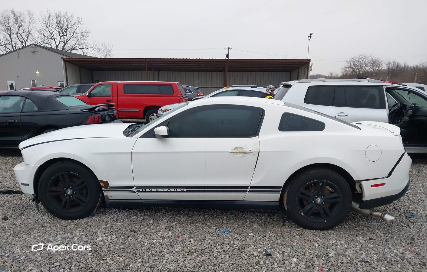Ford Mustang 2011