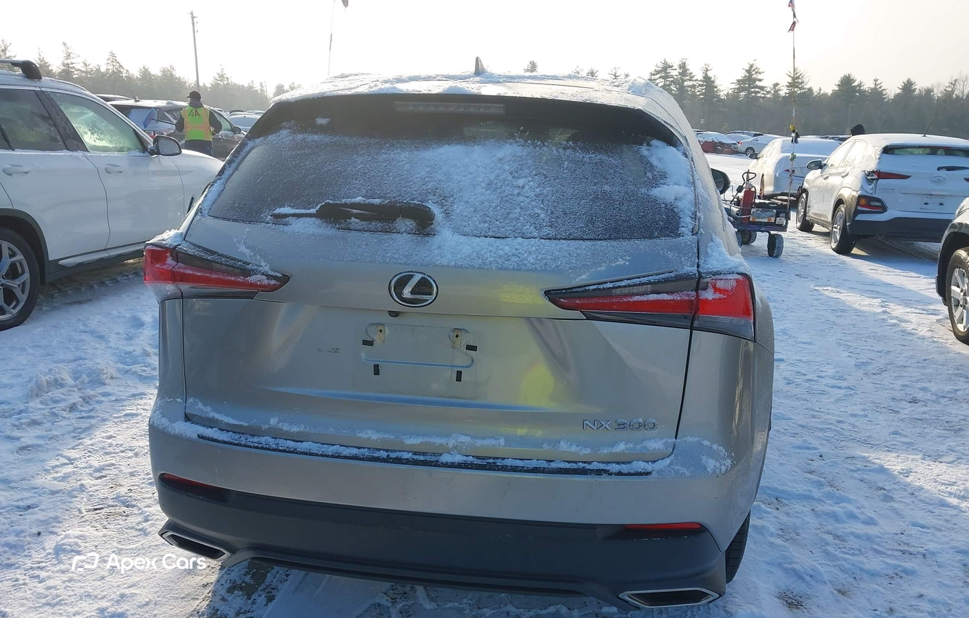 Lexus NX 2021