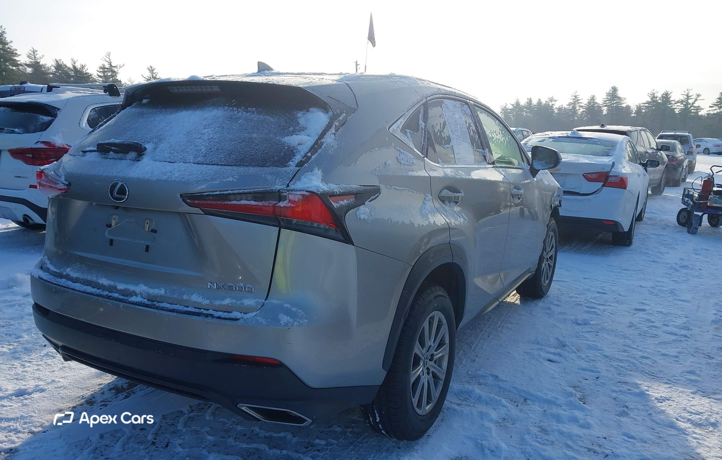 Lexus NX 2021