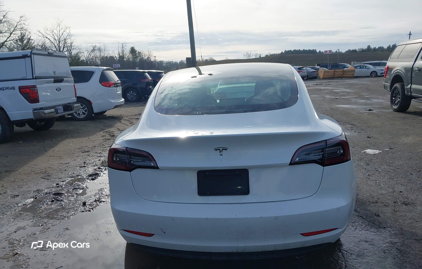 Tesla Model 3 2019