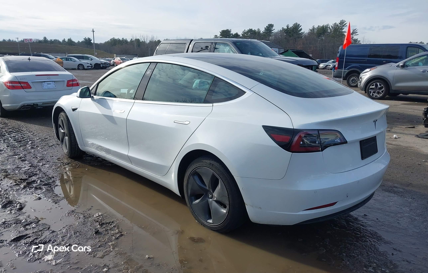 Tesla Model 3 2019