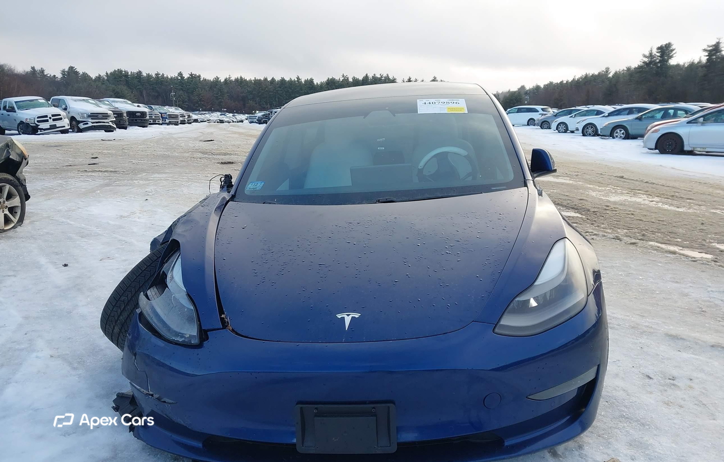 Tesla Model 3 2021