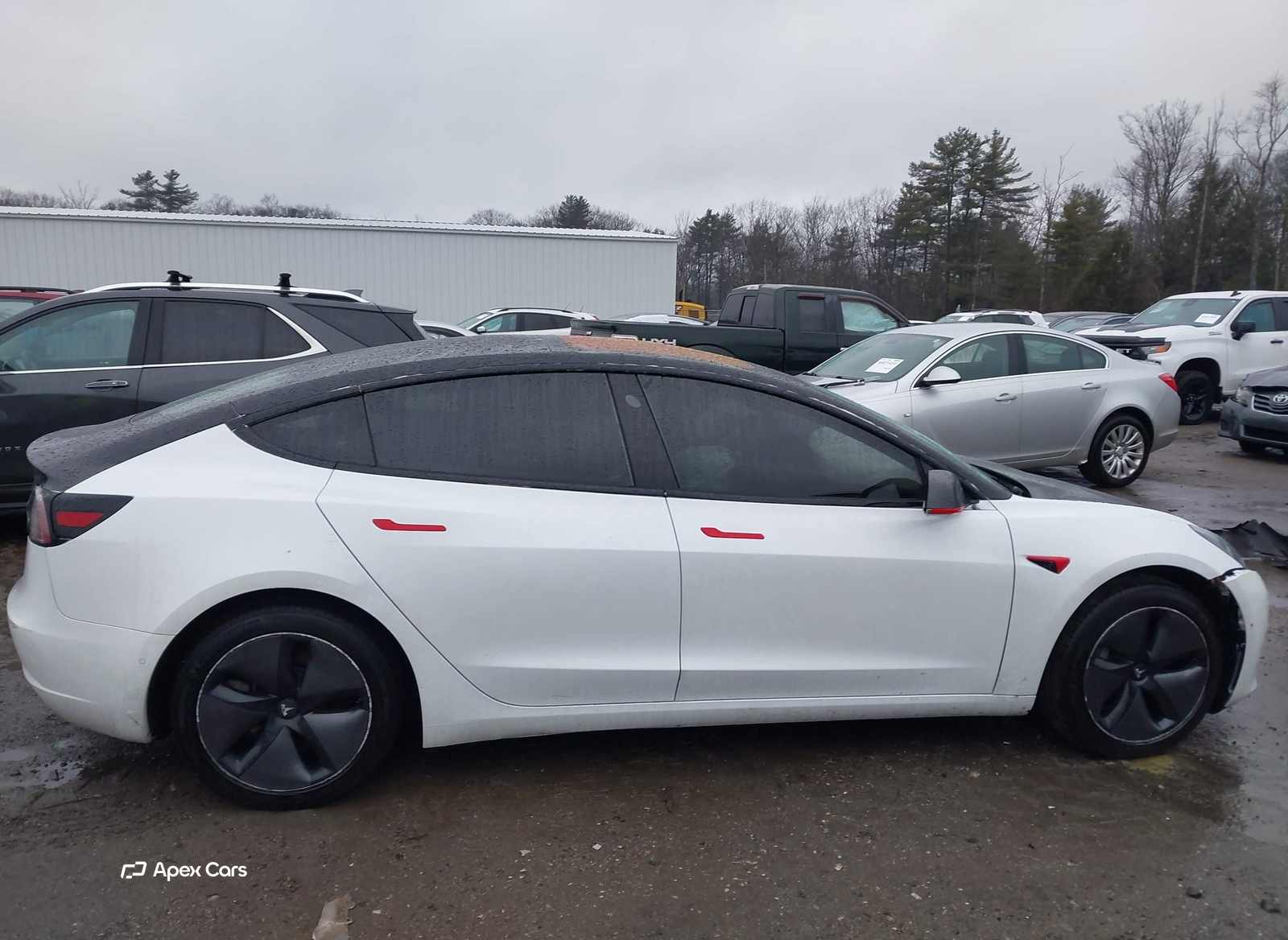 Tesla Model 3 2018