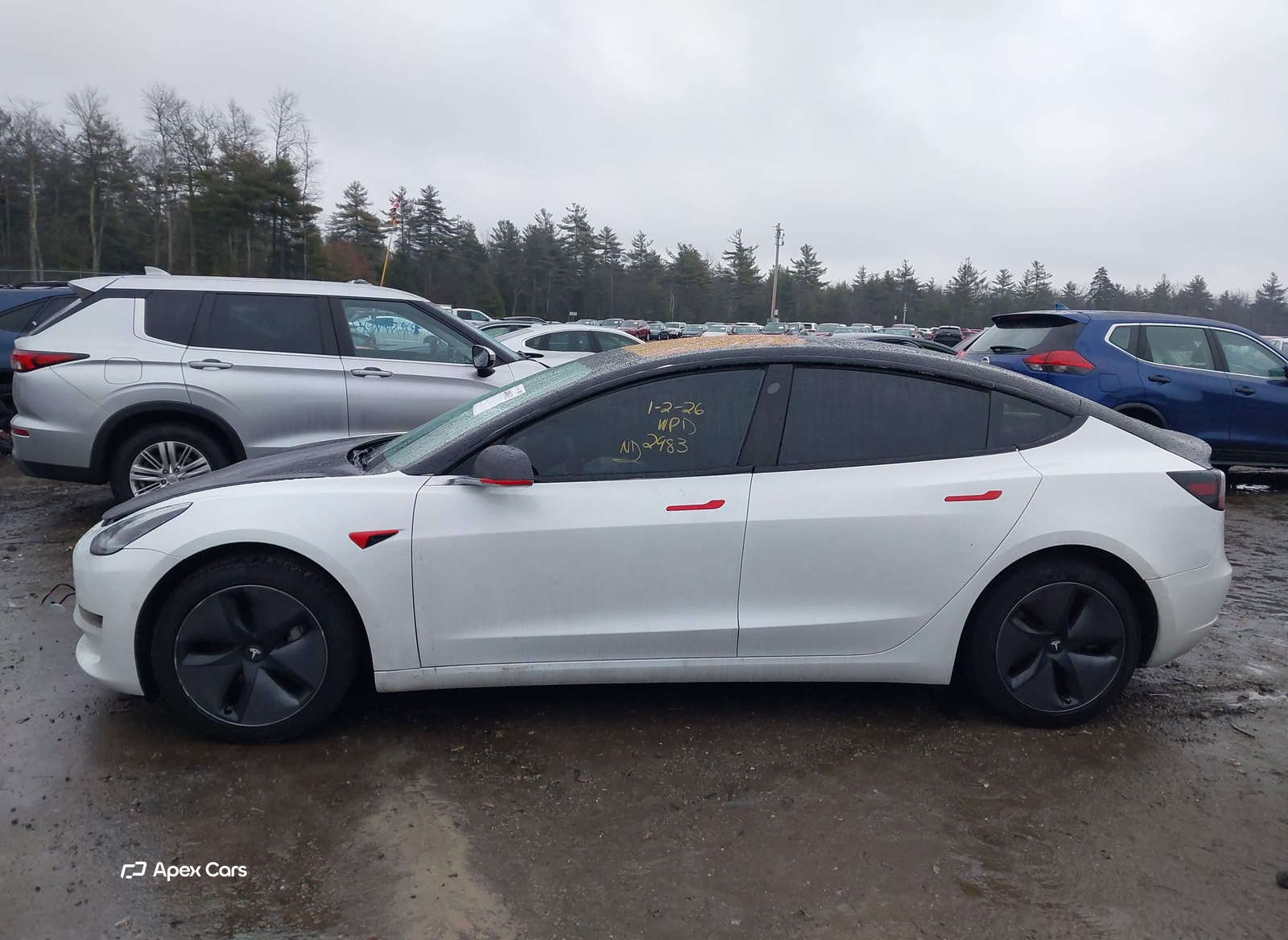 Tesla Model 3 2018