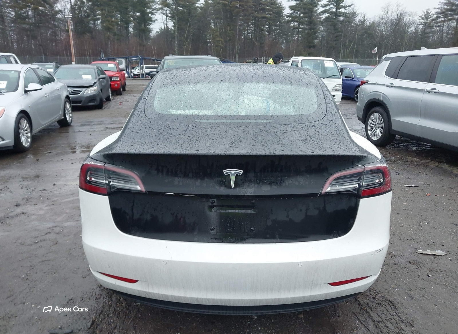 Tesla Model 3 2018