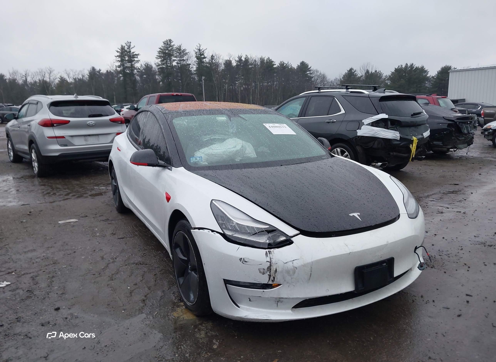 Tesla Model 3 2018