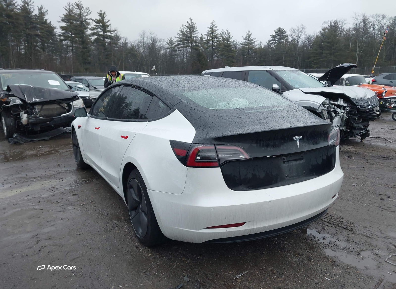 Tesla Model 3 2018
