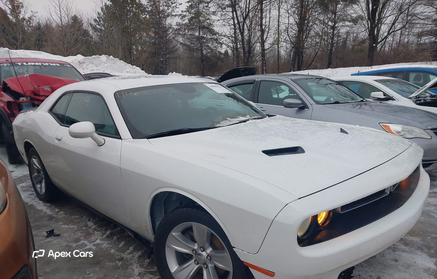 Dodge Challenger 2023
