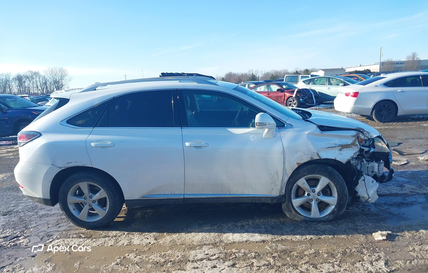 Lexus RX 2015