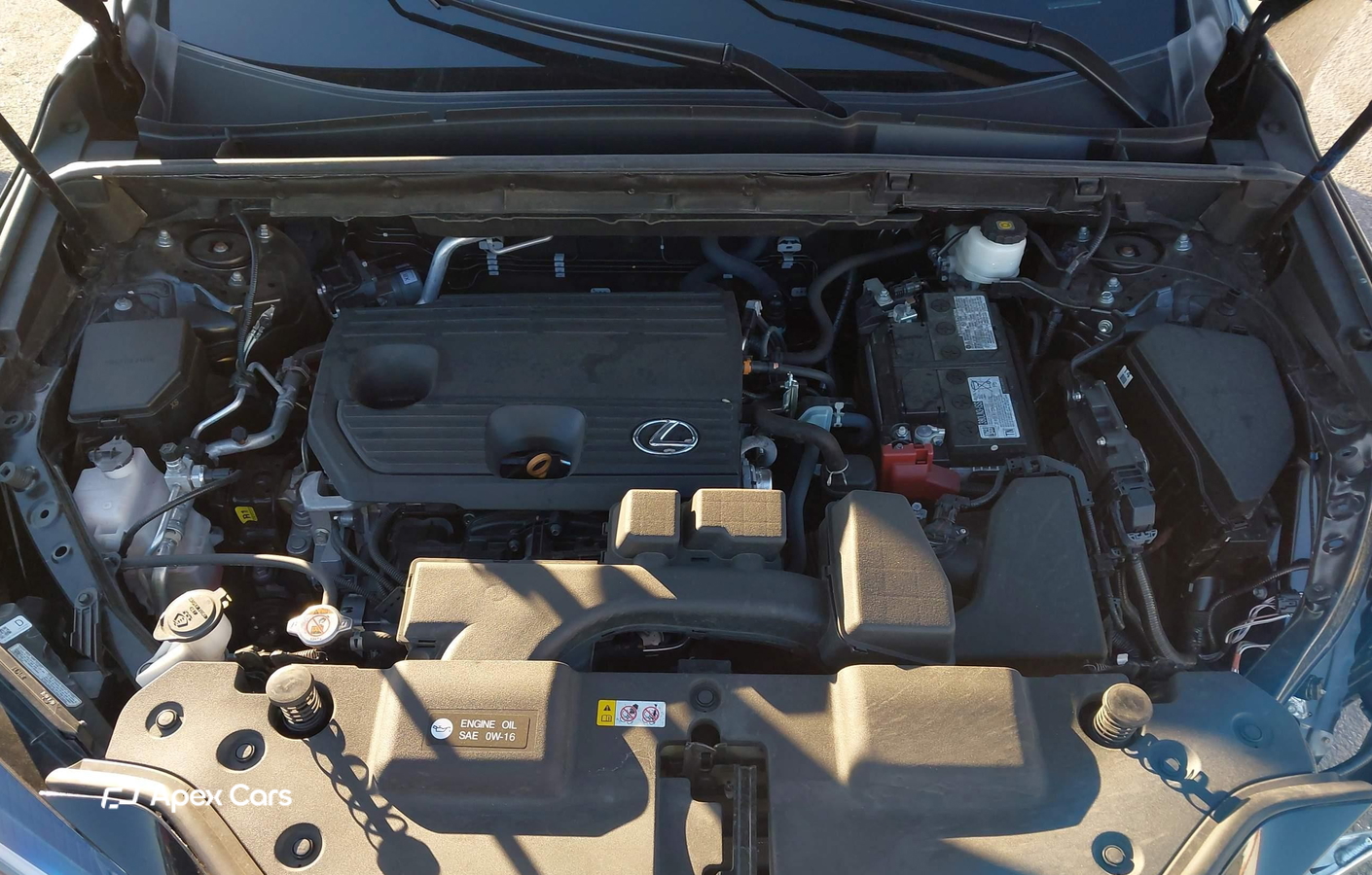 Lexus NX 2024