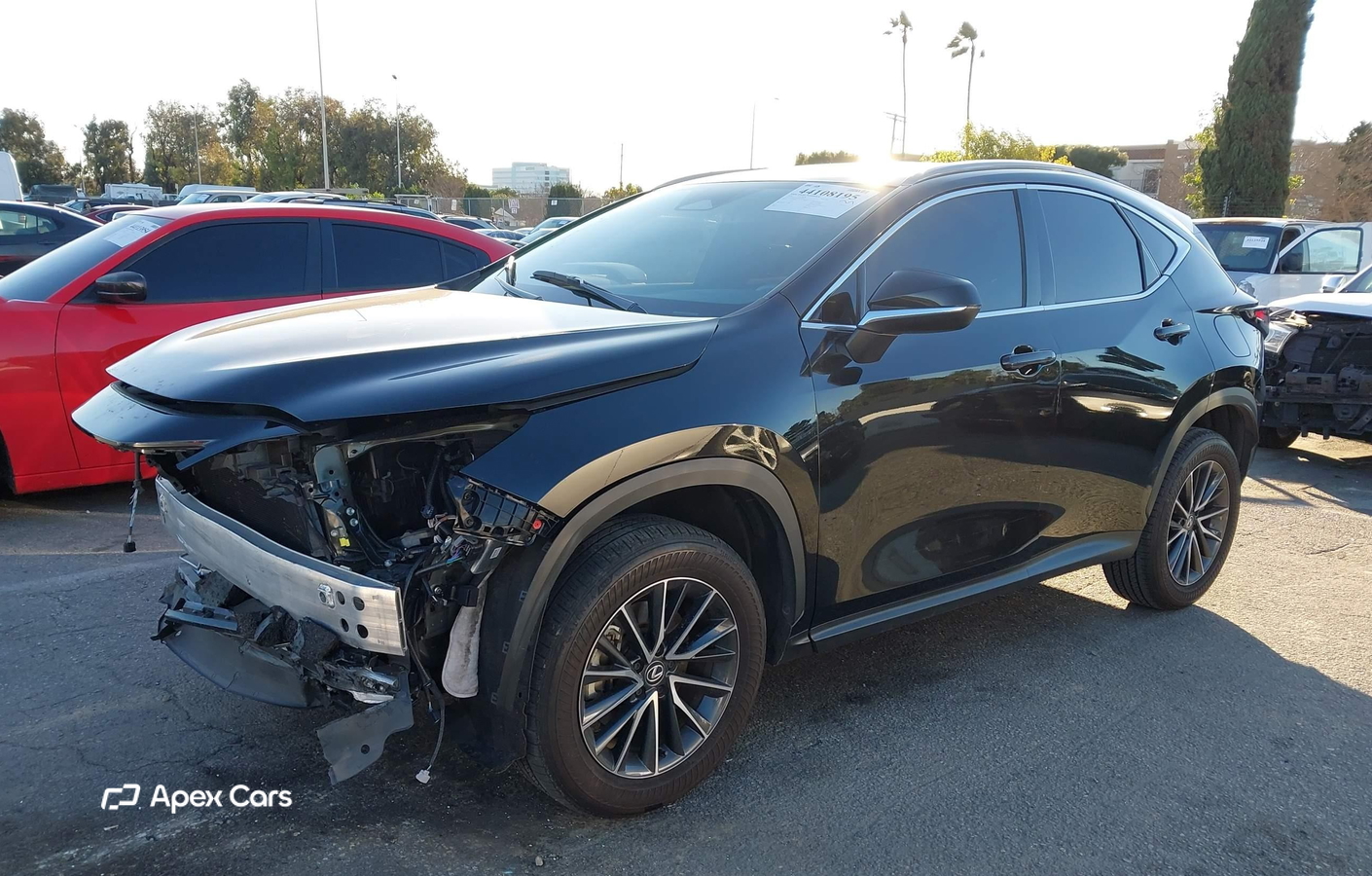 Lexus NX 2024