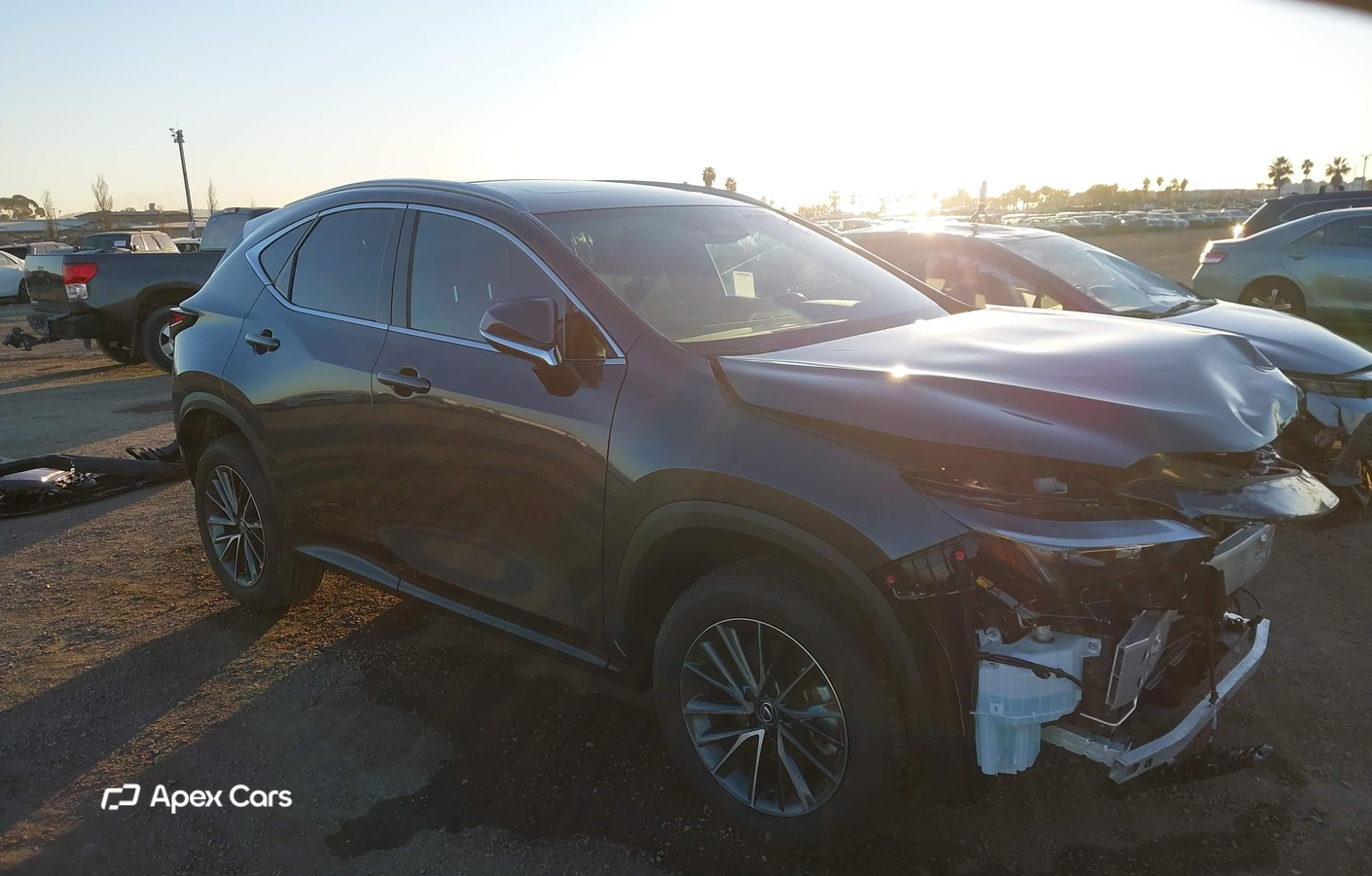 Lexus NX 2025