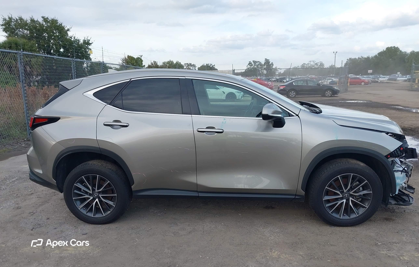 Lexus NX 2023