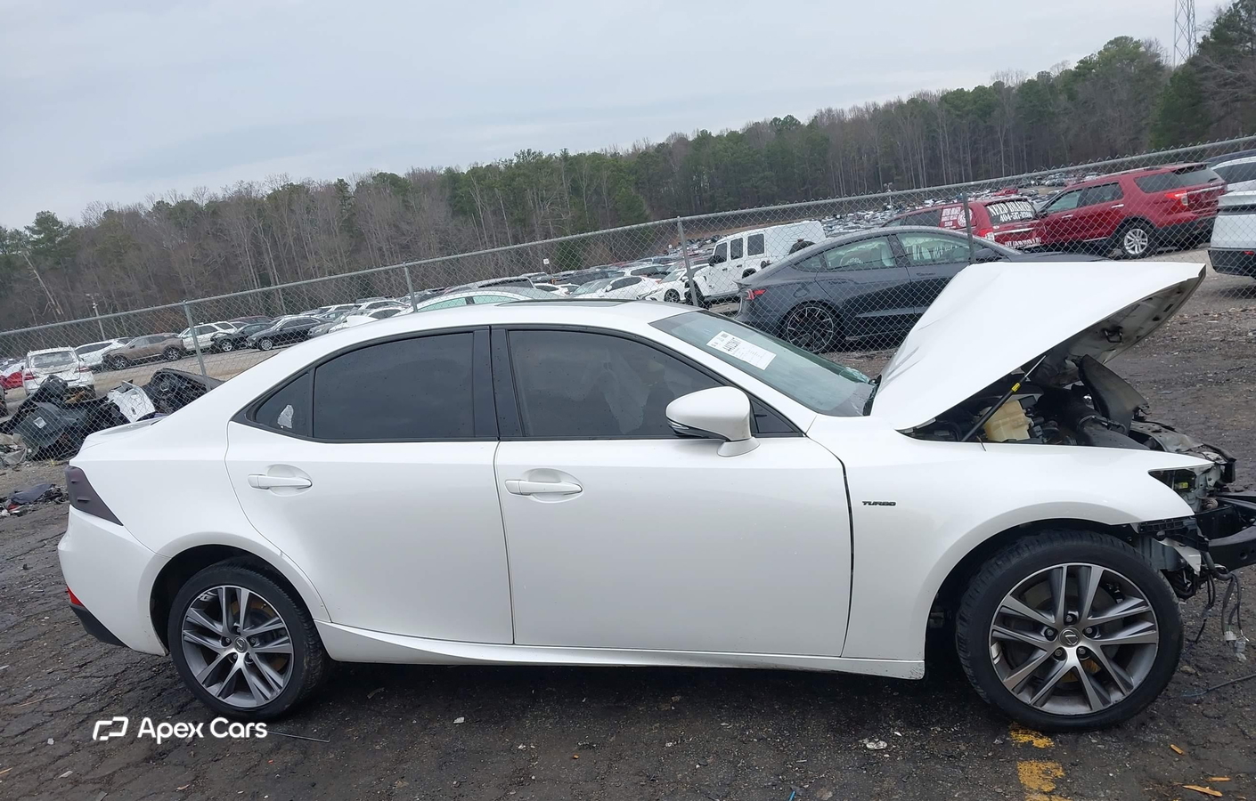 Lexus IS 2018