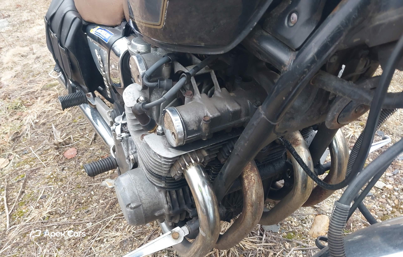 Suzuki 1982