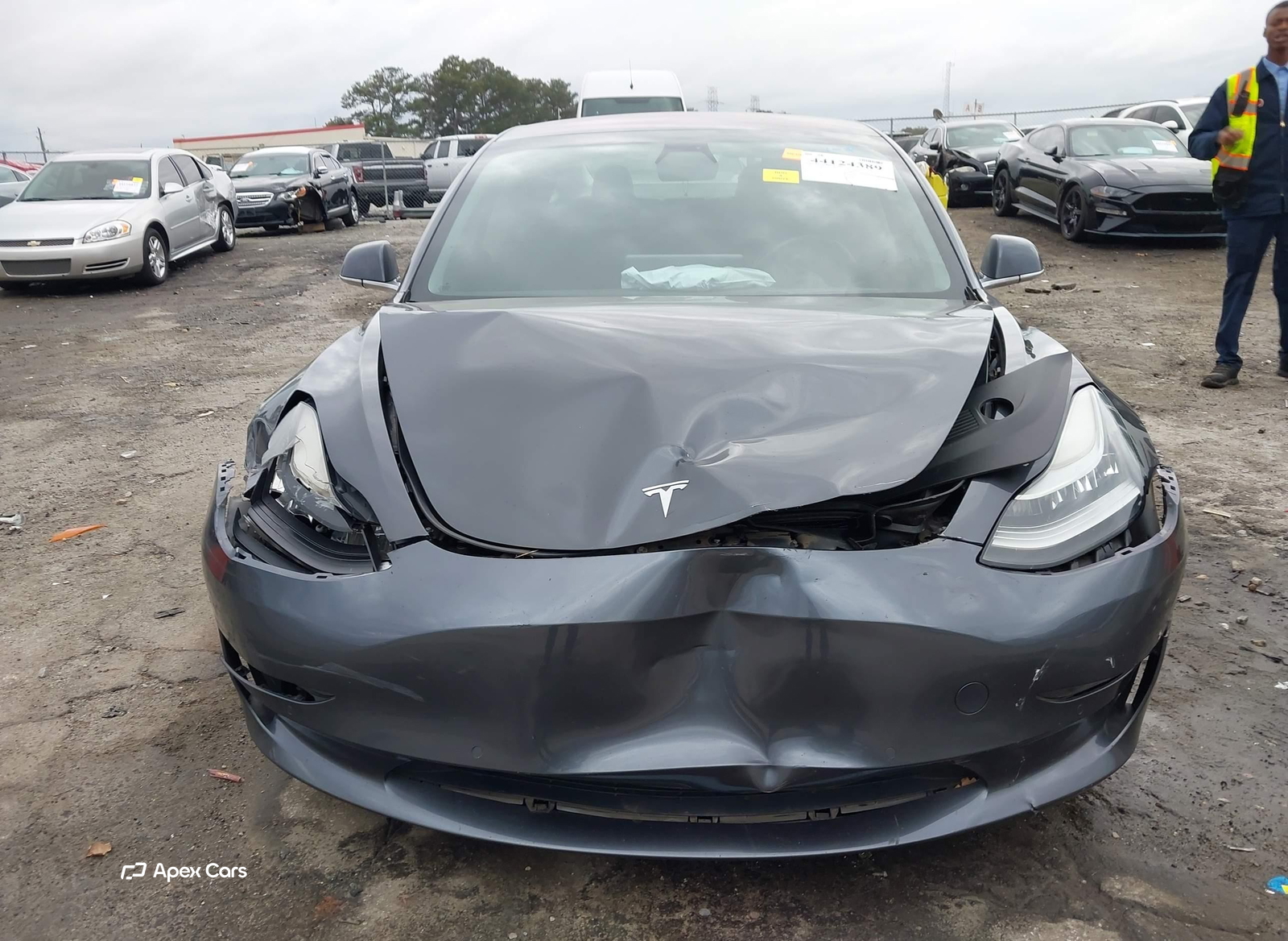 Tesla Model 3 2019