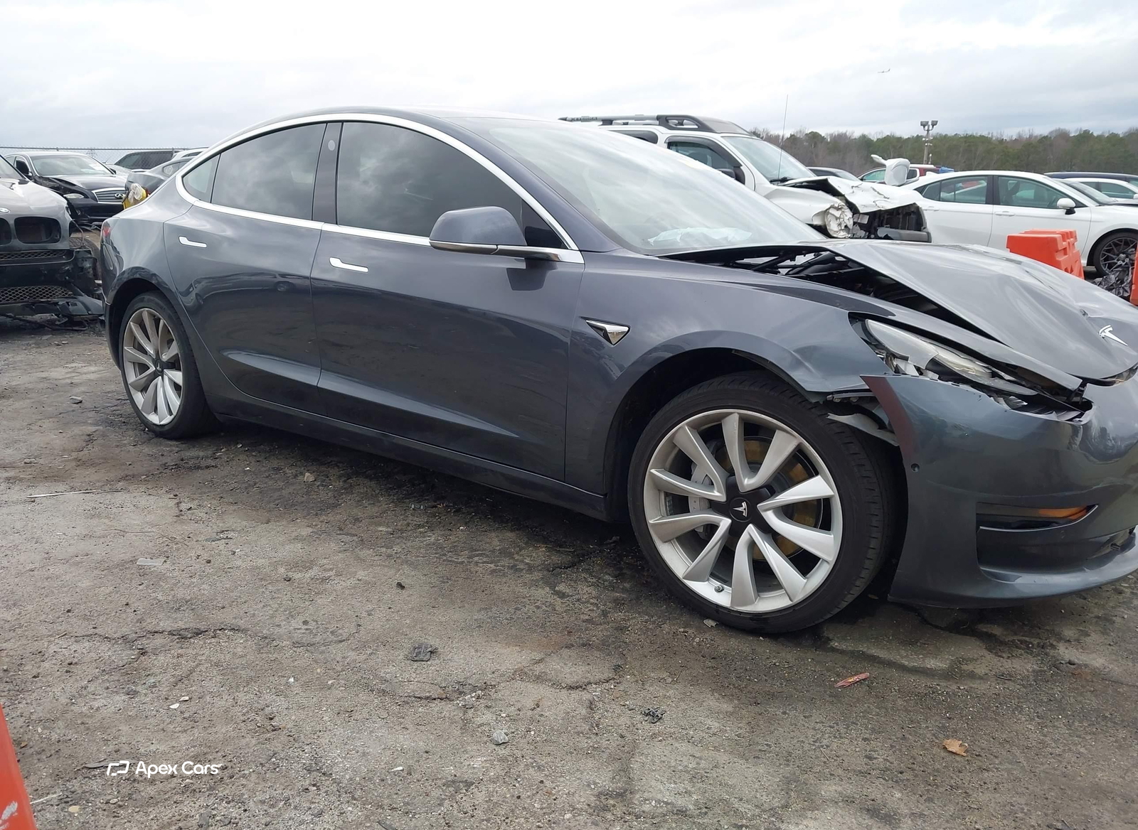 Tesla Model 3 2019