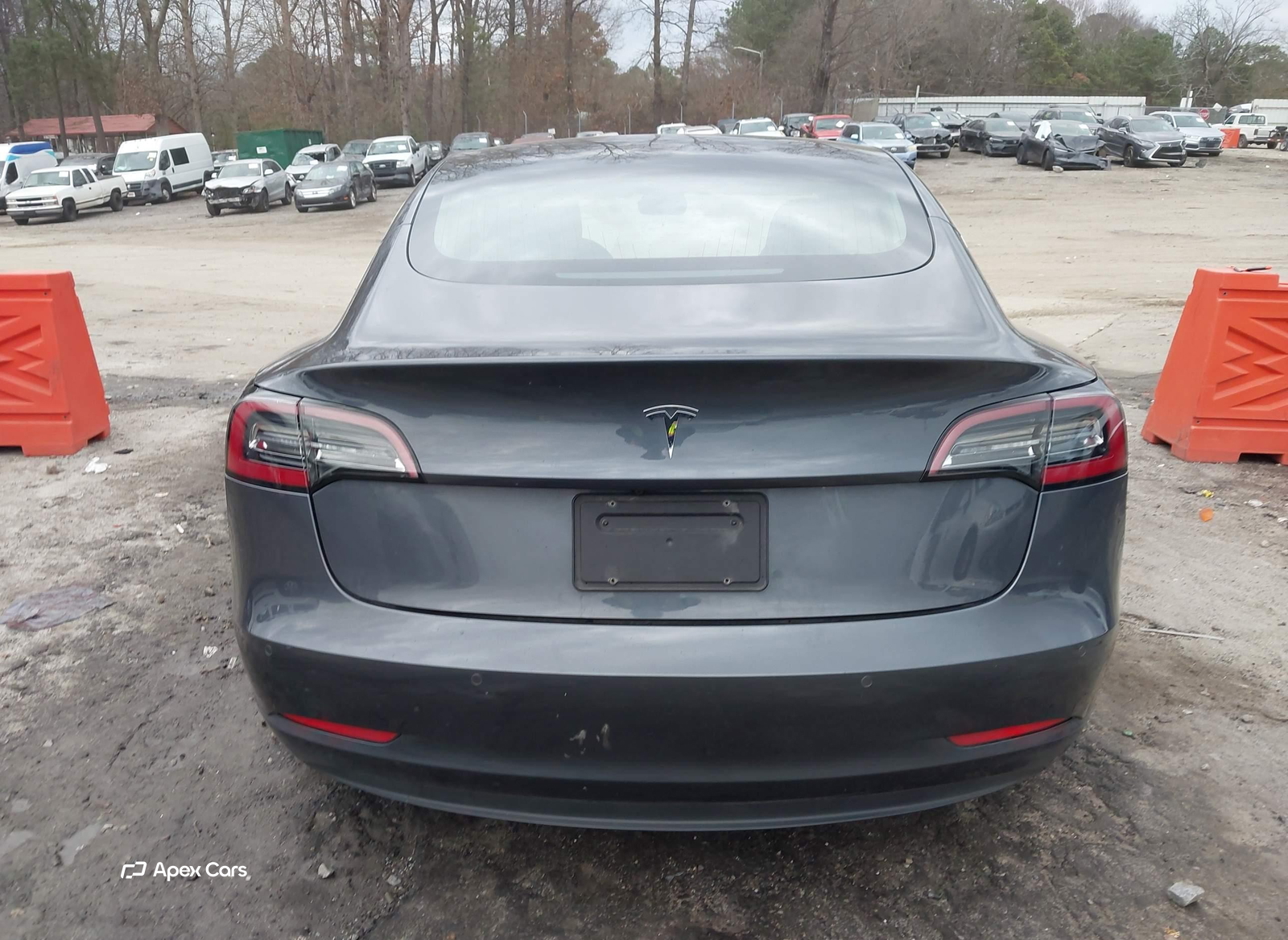 Tesla Model 3 2019