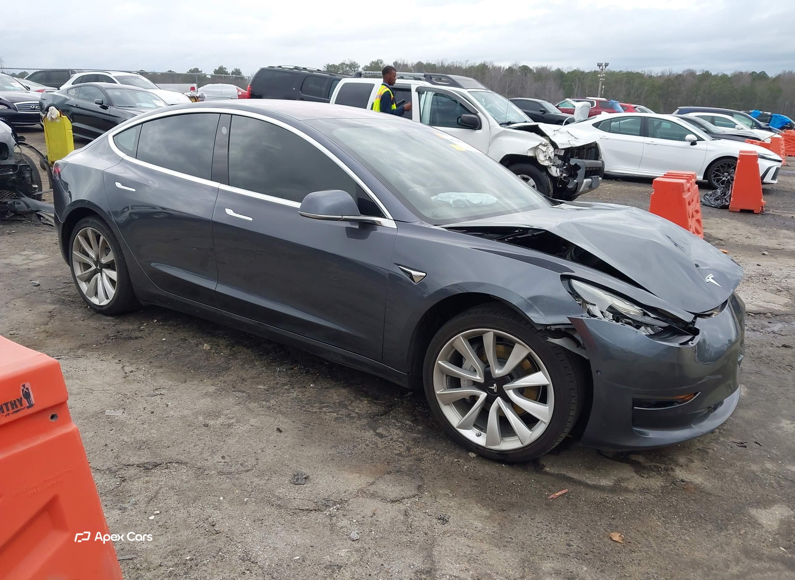 Tesla Model 3 2019
