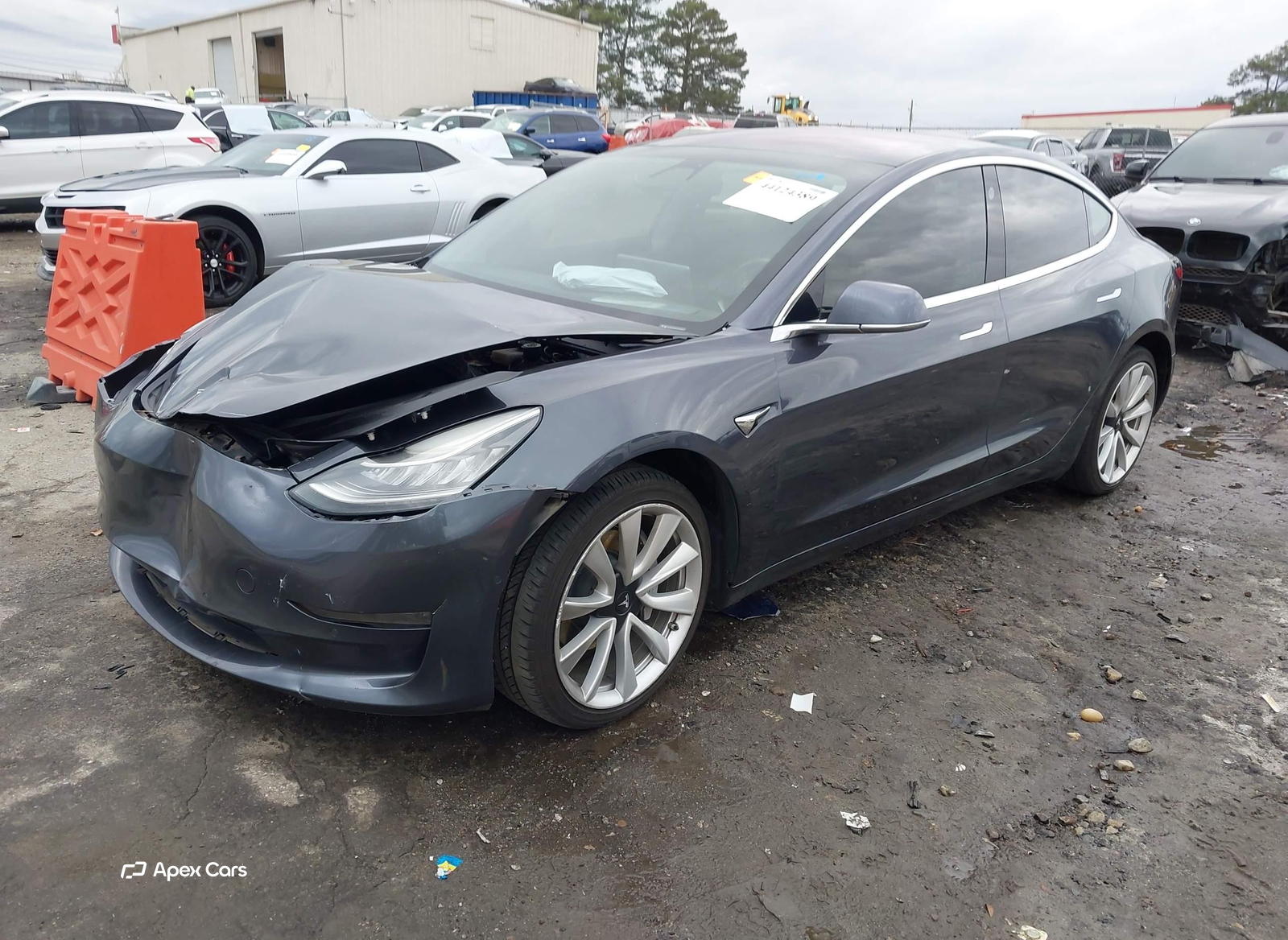 Tesla Model 3 2019