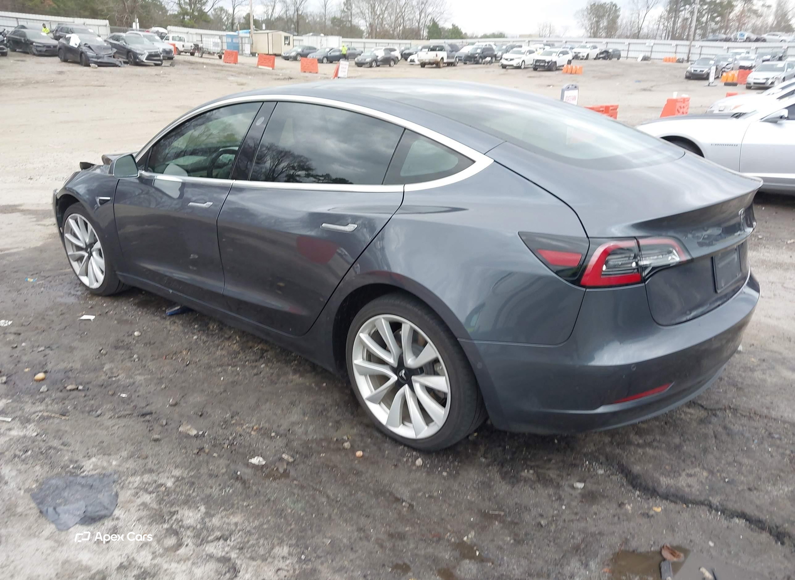 Tesla Model 3 2019