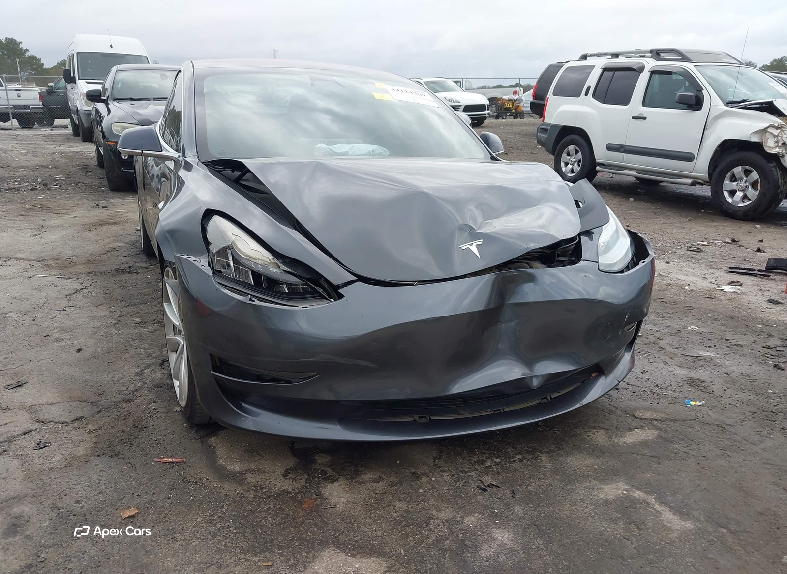 Tesla Model 3 2019