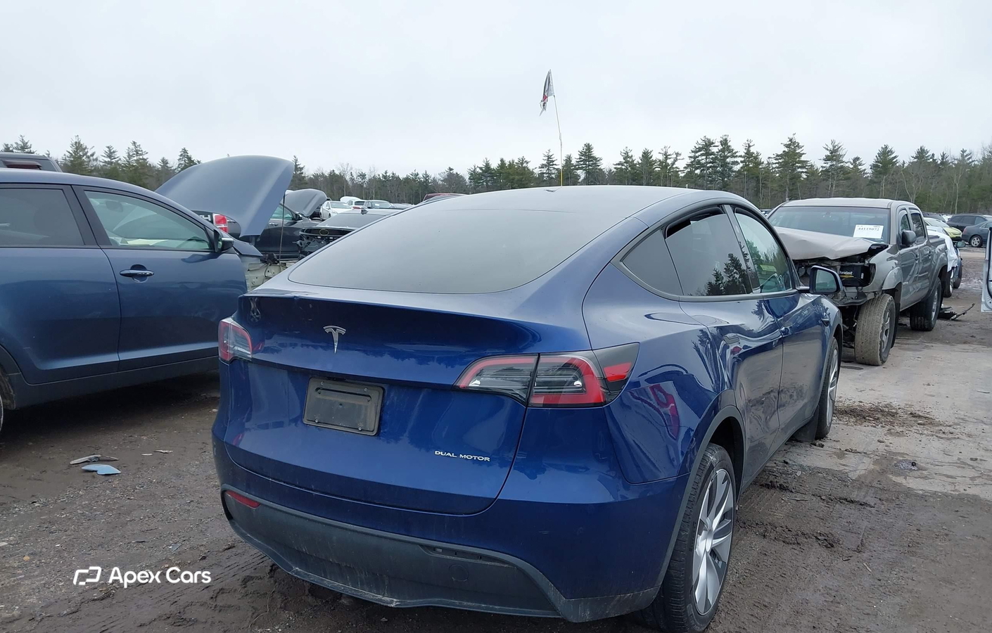 Tesla Model Y 2024