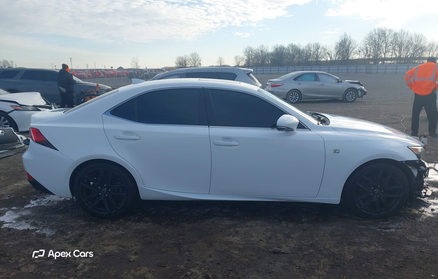 Lexus IS 2014