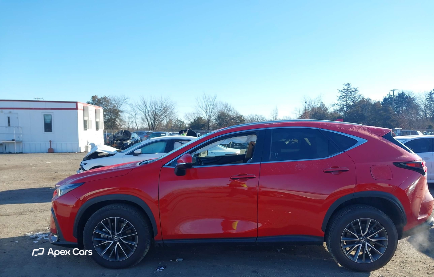 Lexus NX 2025