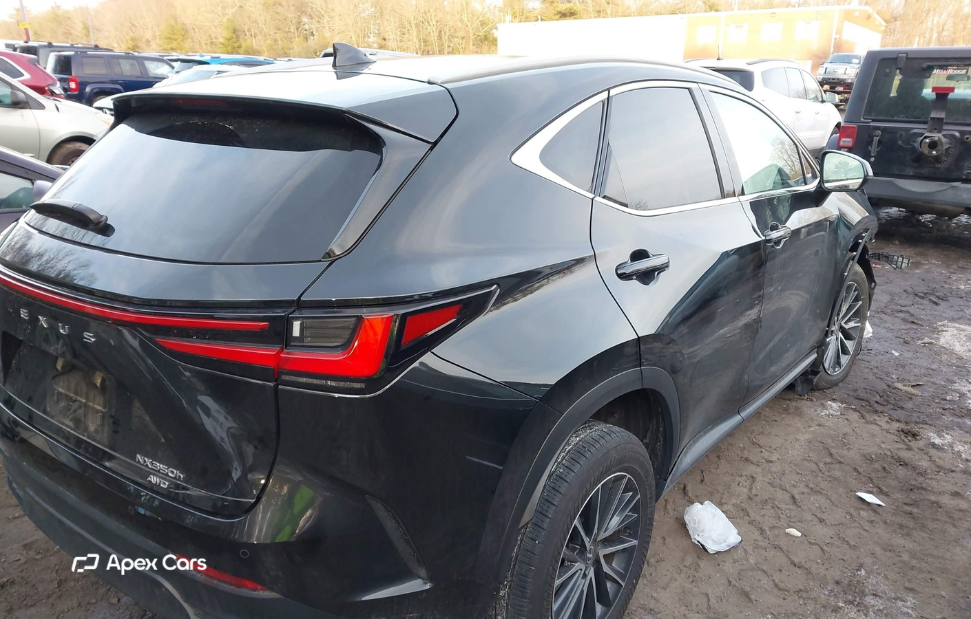 Lexus NX 2025