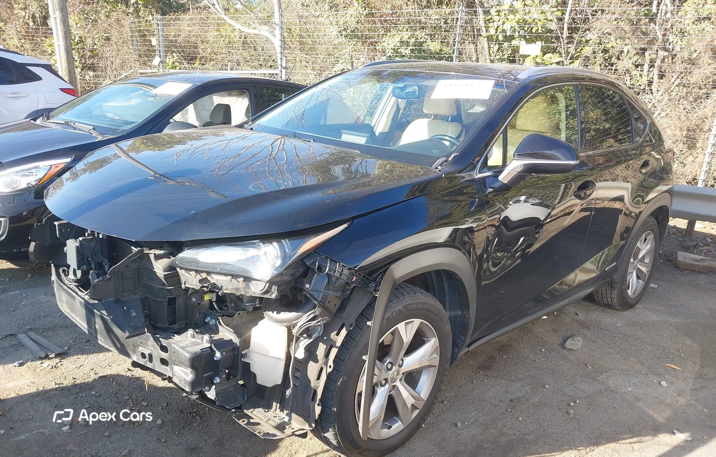 Lexus NX 2017