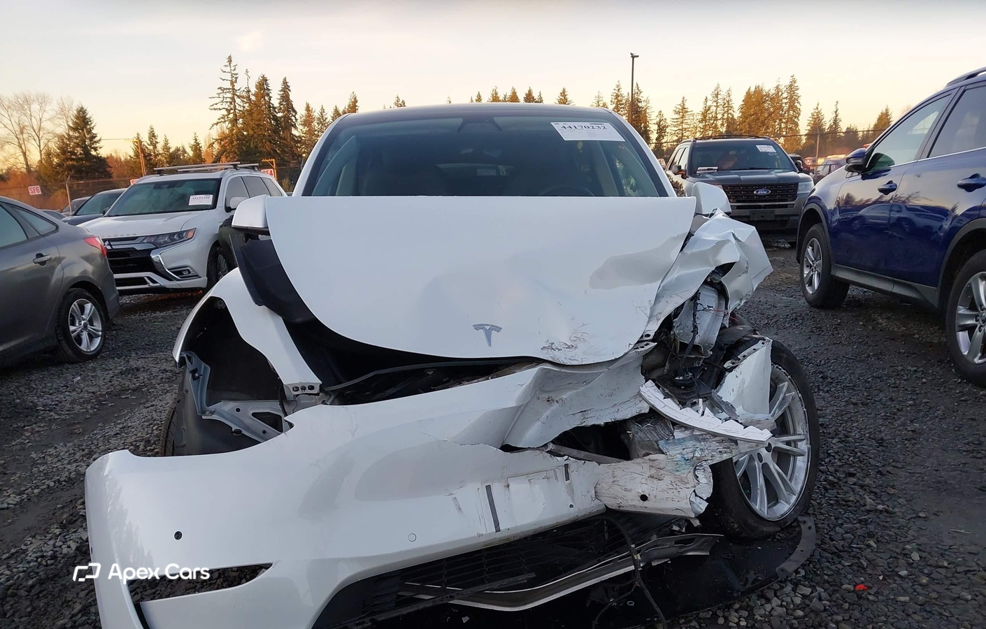 Tesla Model Y 2021