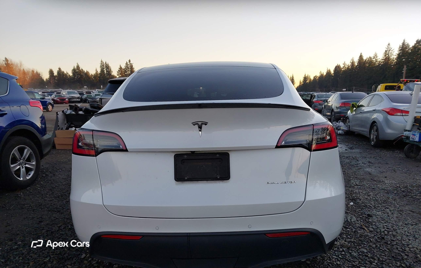 Tesla Model Y 2021