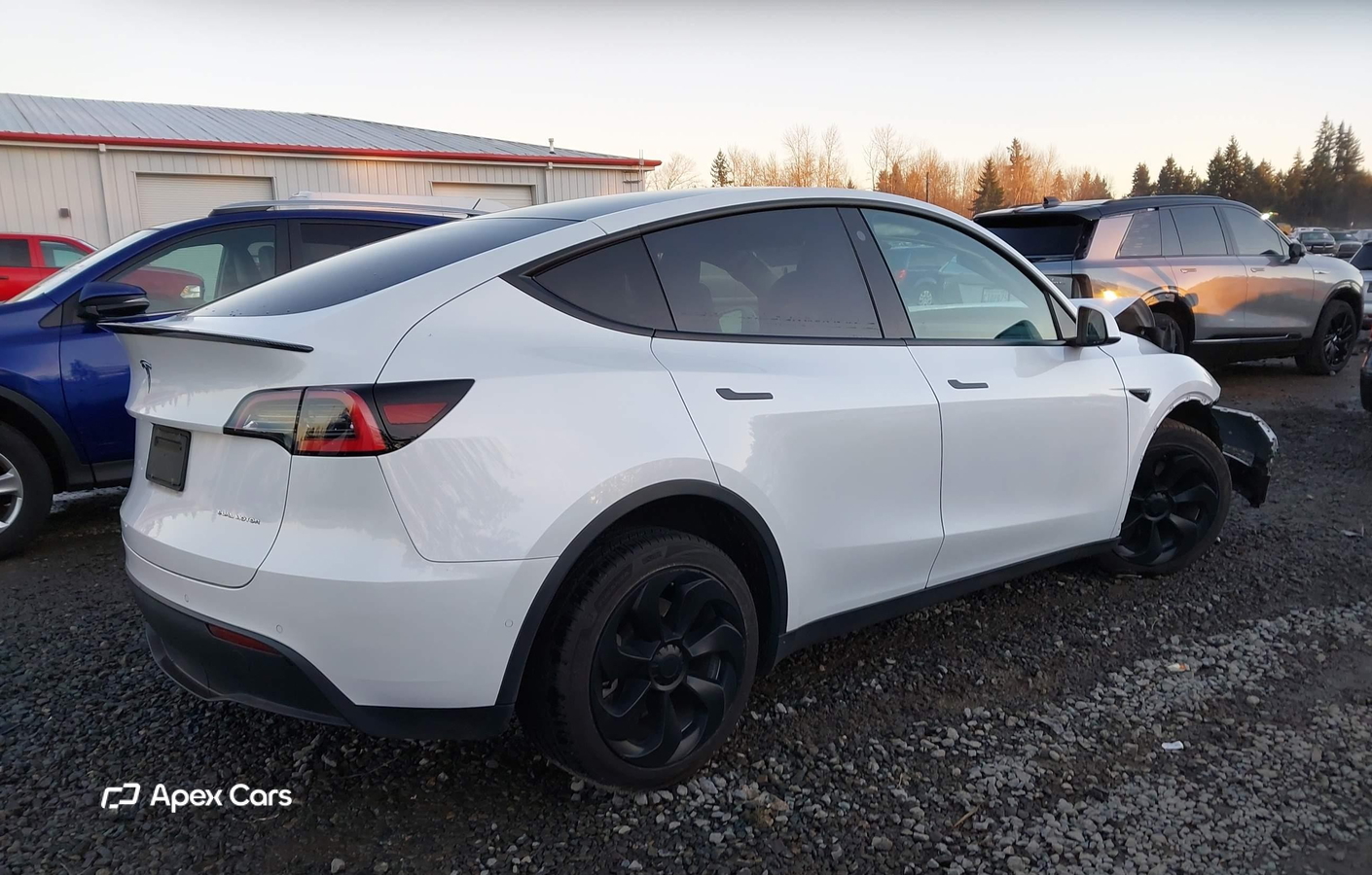 Tesla Model Y 2021