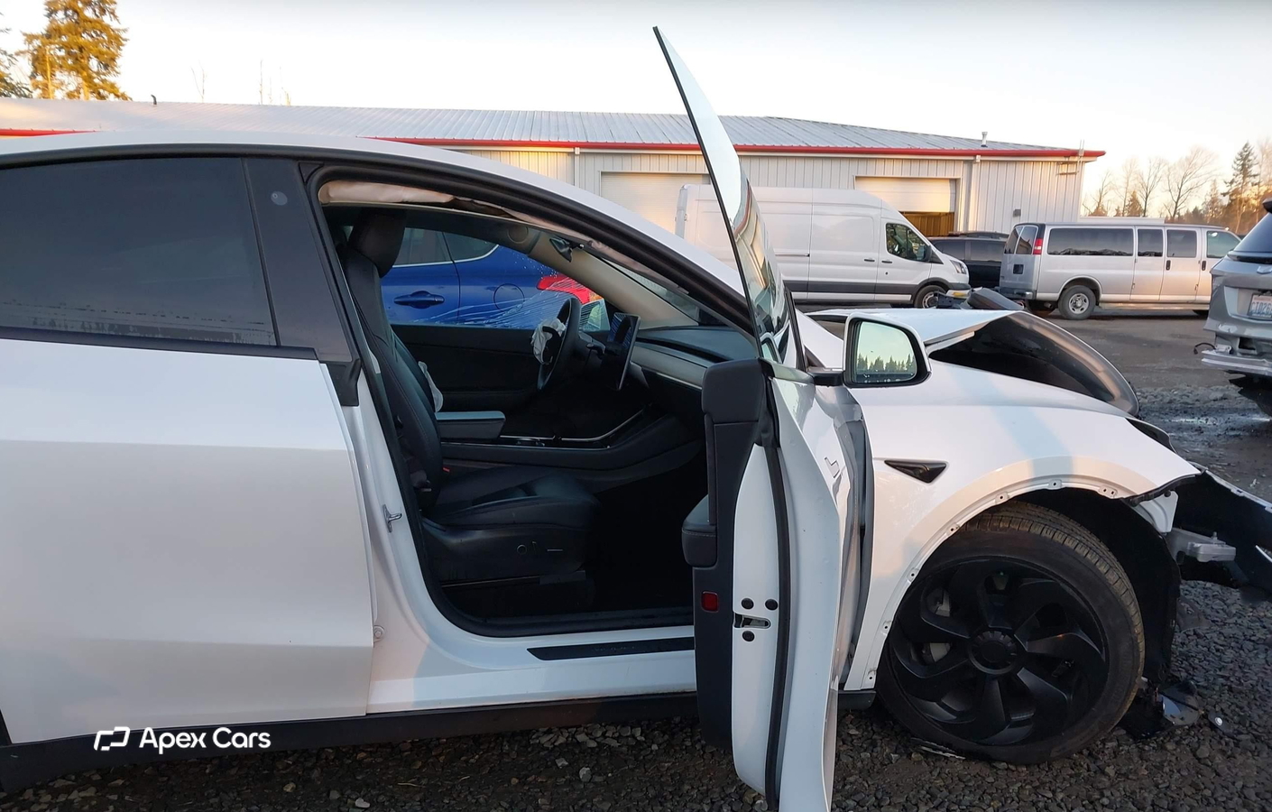 Tesla Model Y 2021