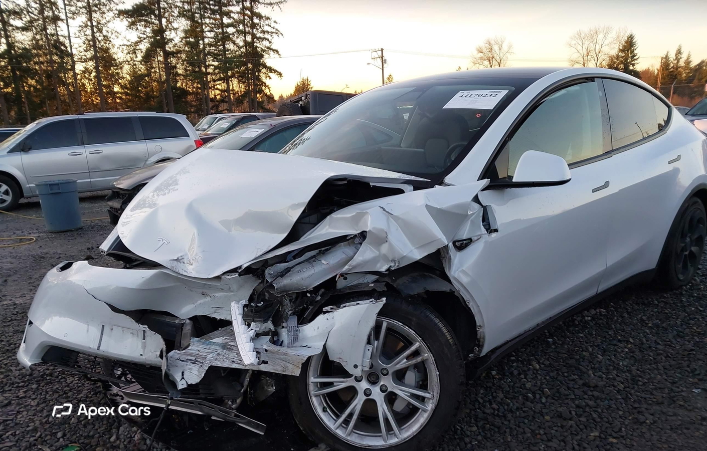 Tesla Model Y 2021
