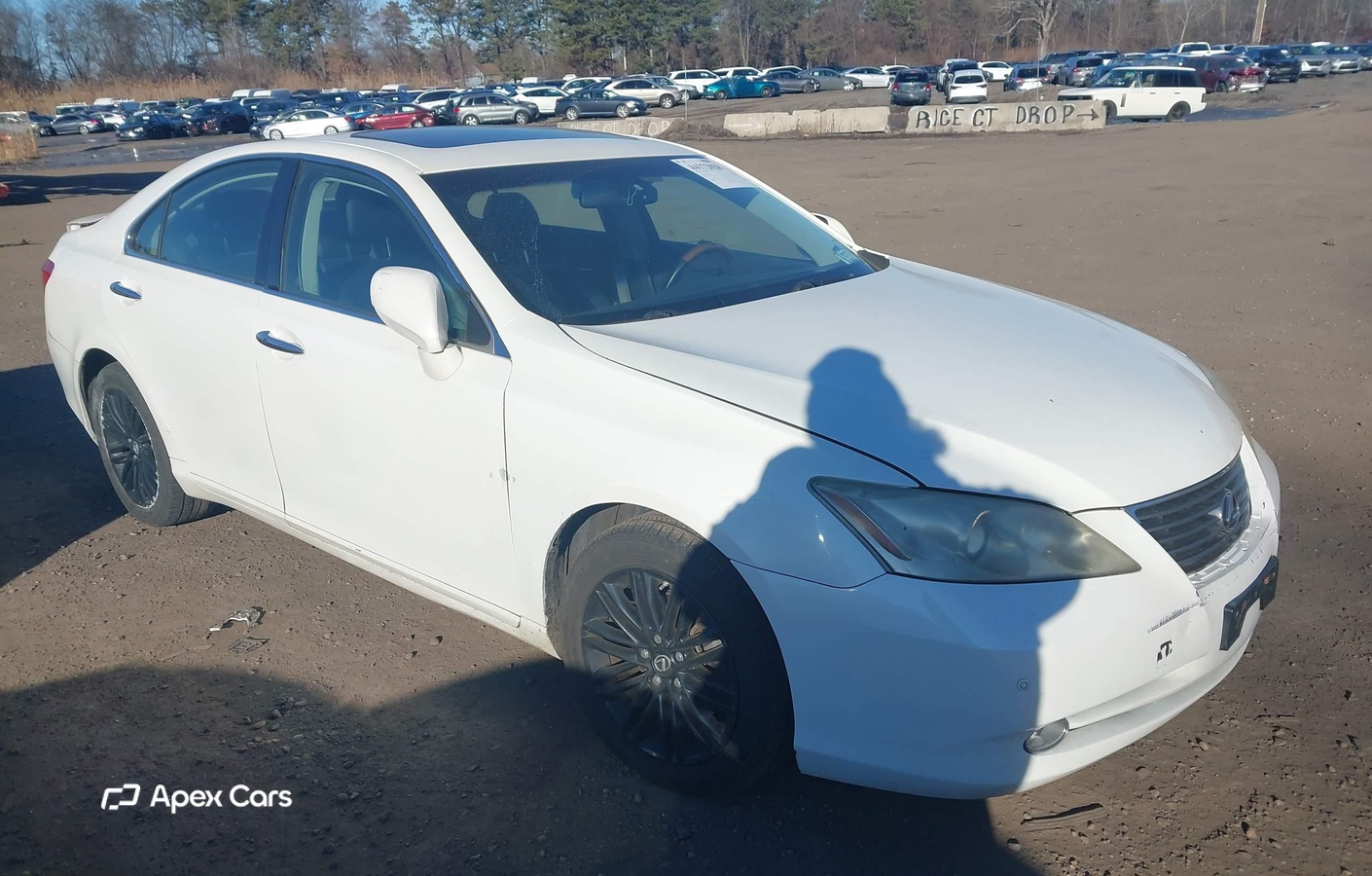 Lexus ES 2007