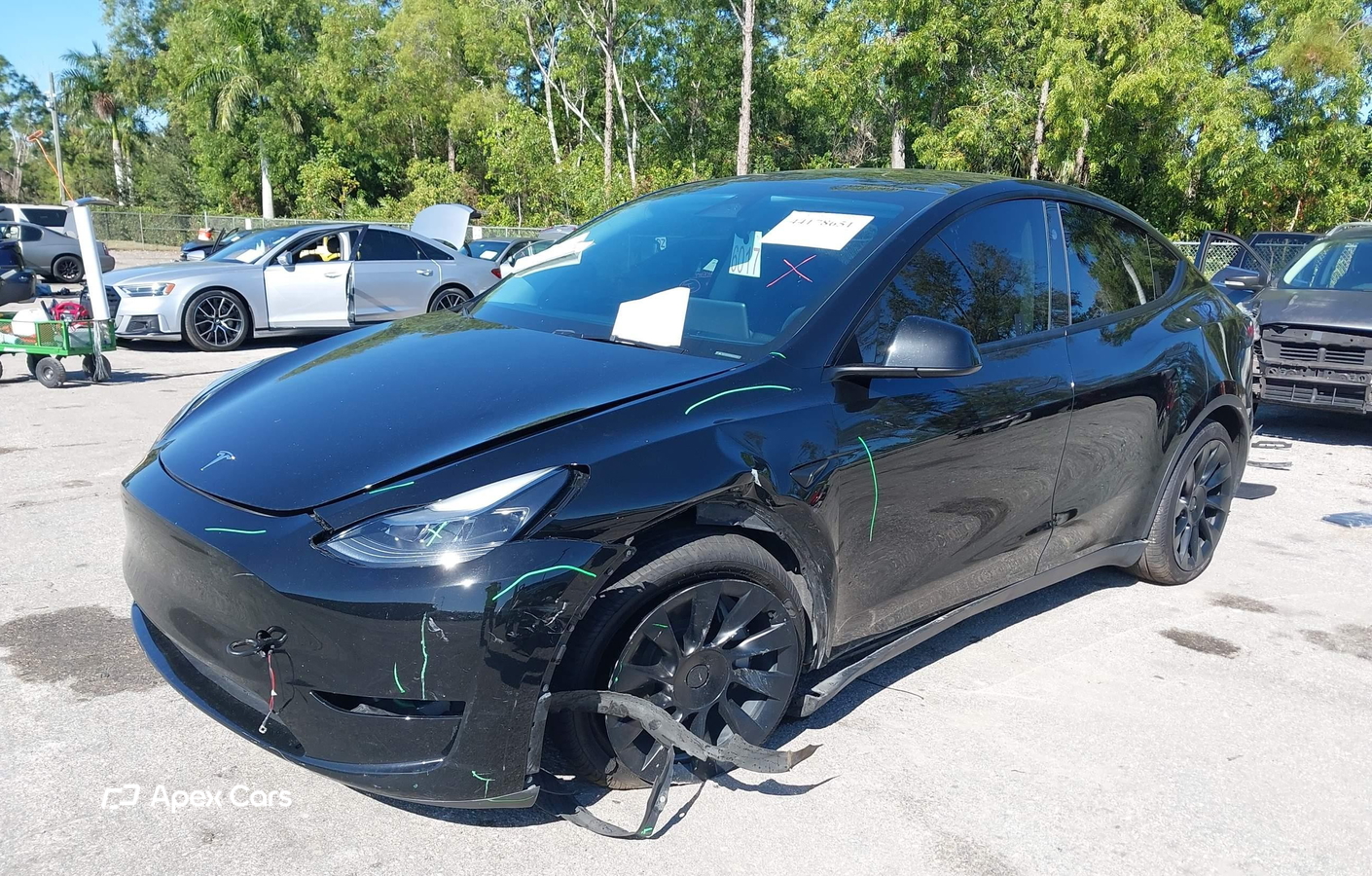 Tesla Model Y 2024