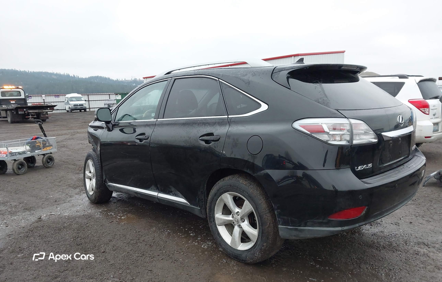 Lexus RX 2010