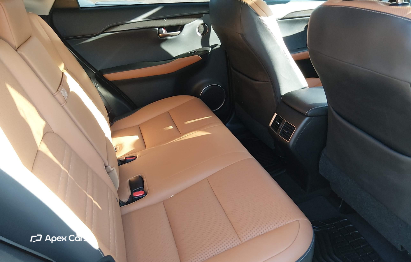 Lexus NX 2021
