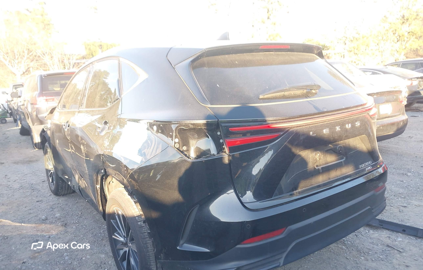 Lexus NX 2025