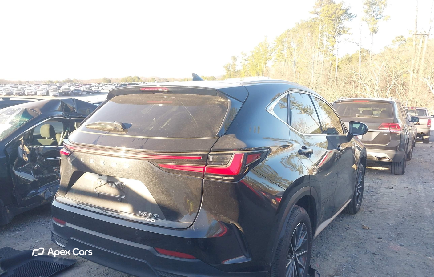 Lexus NX 2025