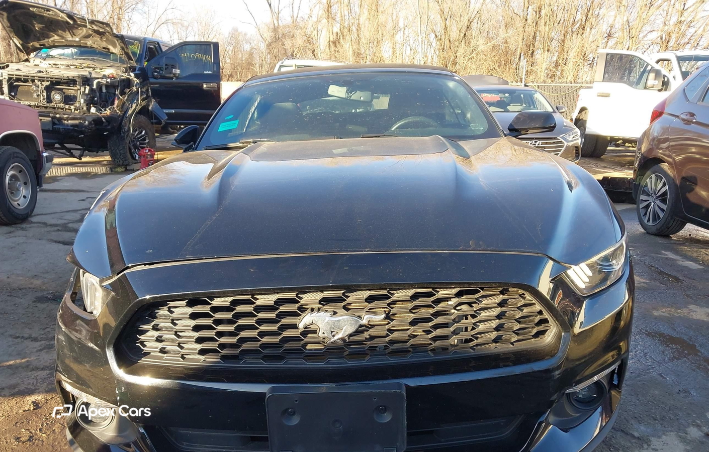 Ford Mustang 2015