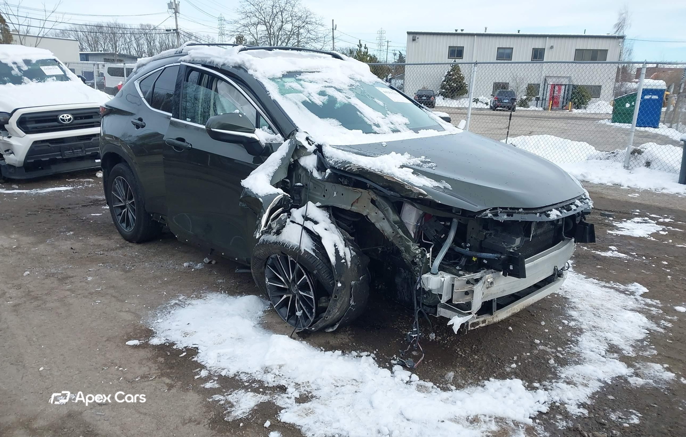 Lexus NX 2024
