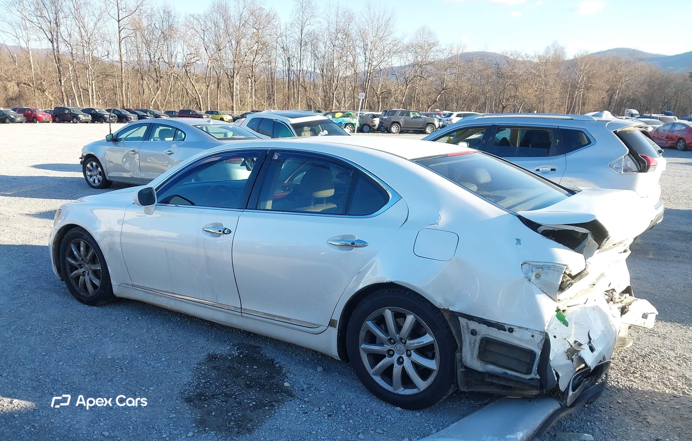 Lexus LS 2008