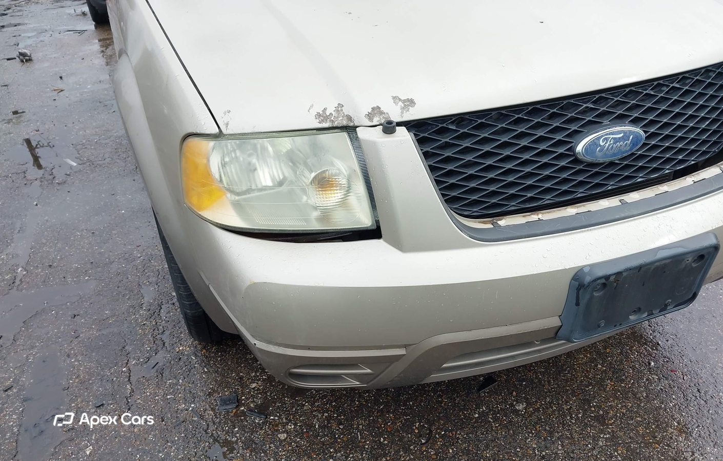 Ford Freestyle 2006
