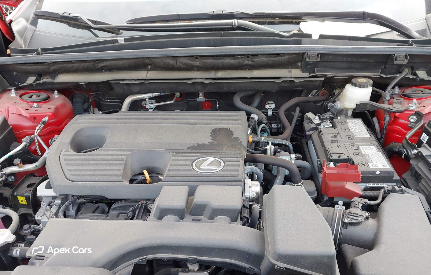 Lexus NX 2024
